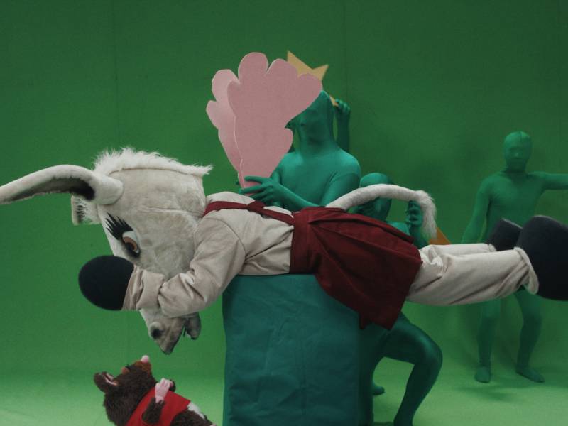 Donkey Princess